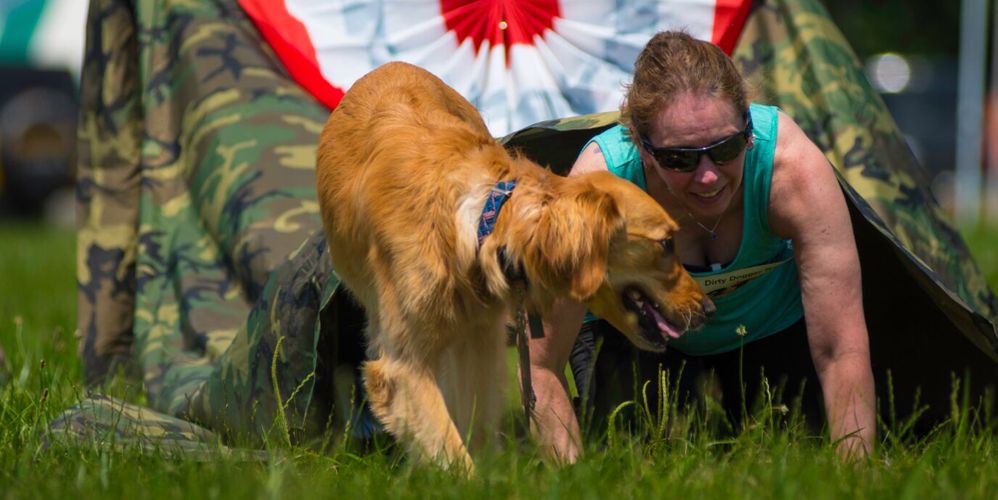 Emotional Support Animal Dog Training (ESA)